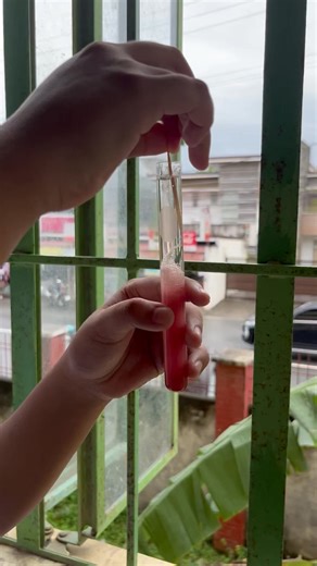 🍓Extraction of Strawberry DNA 🧬 ScienceAlert Filipino Science Hub Science #DNA #DNAExtraction #strawberry #science | MsBelle Cabuntocan