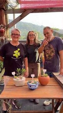 Competição na Fazenda: Mini-jardim #suculentas #cactosesuculentas #cacto #fazendadassuculentas