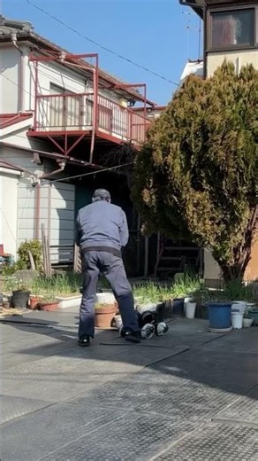 Kurobo the crow 🐦‍⬛ Watching practice