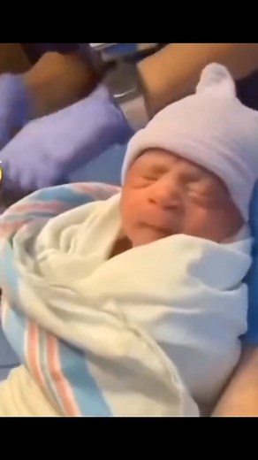 Resulta | Dookie Eats Airplane