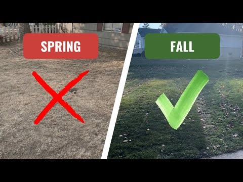Install Sod in Fall or Spring? The TRUTH About When to Install Sod for Perfect Green Lawn