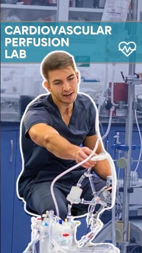 👀 Cardiovascular perfusion lab thirst trap.