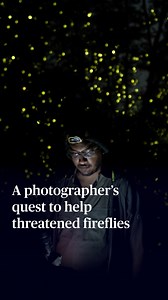 7.5K views · 205 reactions | For many people, fireflies are part of the story of summer, evoking memories of lazy, hot evenings spent trying to catch them in glass jars. Now, National Geographic explorer and firefly specialist Sriram Murali is on a quest to raise awareness about the threats facing these glowing insects through photography. He's trying to catch them — not with a jar, but with a camera. PBS News' John Yang reports. | PBS NewsHour | Facebook
