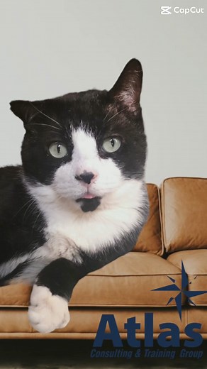 Altas DUI School on TikTok