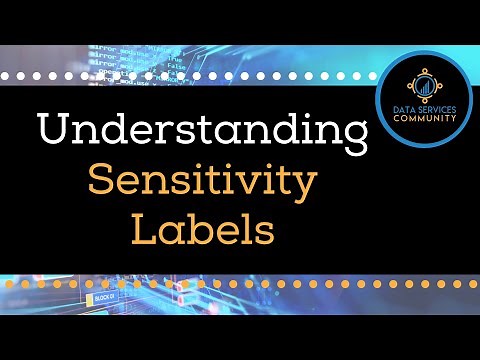 Understanding Sensitivity Labels: Set Up and Management Across Power BI, Azure Purview, and O365