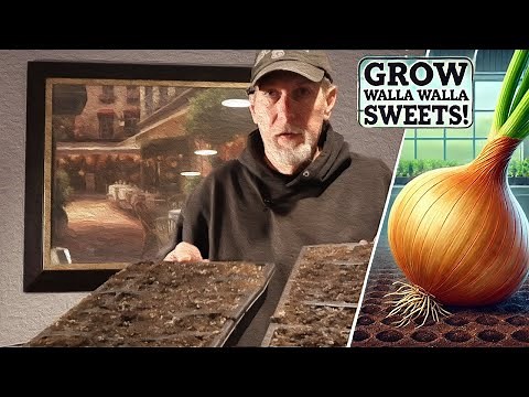 🌱 Grow Walla Walla Sweet Onions from Seed – Step-by-Step Guide! 🧅