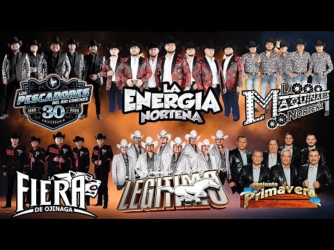 🔥 Conjunto Primavera, La Energía, La Fiera de Ojinaga y Grupo Legítimo 🎶 Norteñas Chingonas 2025 💃