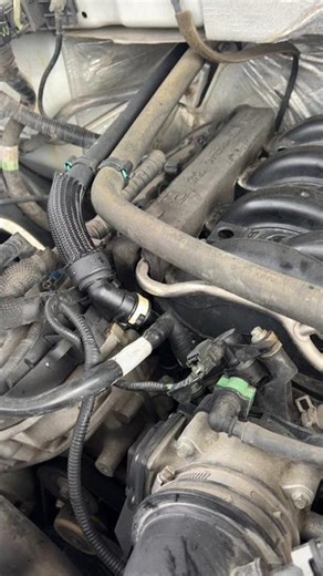 Ford F150 5.0 Fan Constantly Runs??? Cheap Fix ⚒️🏁