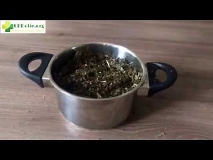 Tutorial: zelf CBD olie maken
