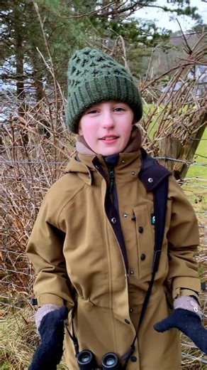 🍃 Why do some trees lose their leaves while others stay green? 🌲 In this reel, Jamie explains why broadleaf trees shed their leaves in winter, while evergreen trees keep theirs all year round. From saving energy and avoiding damage to special leaf adaptations that help evergreens survive the cold. A simple look at the clever strategies trees use to survive the toughest season. | Eagleeyedgirl