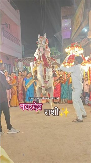 Royal Groom Entry At Marathi Wedding😍 #royalentry #mamakishadi #trending #viralshort #youtubeindia