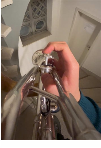 響くところでドランゴンボールとか、ナルトとか、ワンピースとか #dragonball #naruto #onepiece #trumpet | One Piece