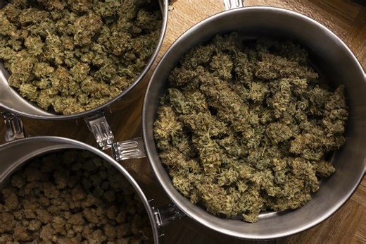 OCM to resume accepting applications for hemp business licenses