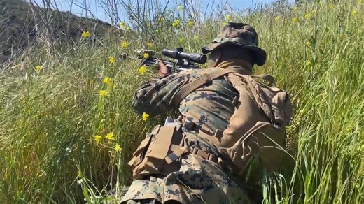 From training to battlefield: How marine infantry operates and dominates