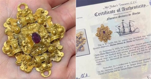 A costly jewel found in a shipwreck in Florida has been revealed for the first time