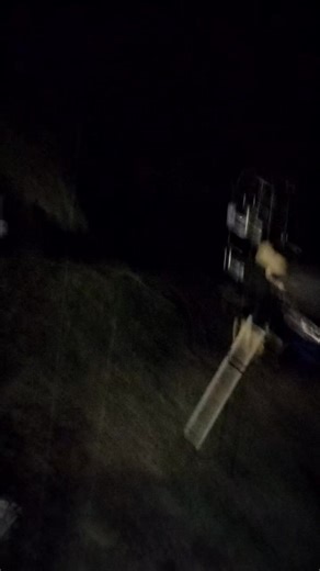 A tree fell on the house but everyone is ok will update in the morning | Heather Lynn Gibson