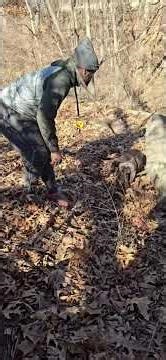 Track work, 5 month old Corso Part 4-6 #entertainment #puppy #canecorso #mentalhealth