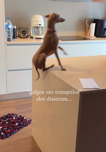 Ela me testa: reação e significado de 'Ela me testaaaaa'