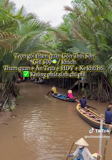 Tour Miền Tây 1 Ngày: Trải nghiệm Thới Sơn, Cồn Phụng, Cồn Hòa An