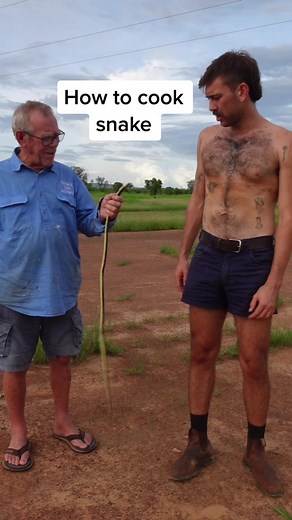 How to cook snake - Bush Style! #fyp #outback #cook