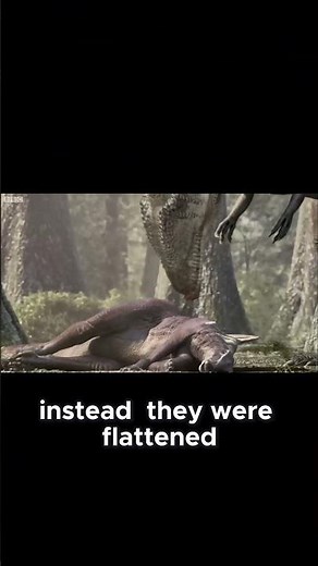 Why Trex Had Better Teeth Than Carcharodontosaurus #dinosaur #shorts #paleontology