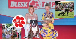 Festival Blesk tlapek bavil i pomáhal. Výtěžek pro psí seniory. A domov pro Šarlotu a Sendy