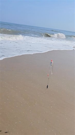 14 reactions | Replying to @sofc278 On the beach catching a red drum, spot, and croaker with @Maryland Sharks #fyp #foryou #fishing #catchandcook #saltwaterfishing #reddrum #croaker #Outdoors #out | Leona Kristi | Facebook