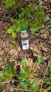 420K views · 2.7K reactions | Mais uma aplicação da UrinaPower  Faça já a sua encomenda  Envio em 48H Votos de uma boa terça feira e boa semana :) Javali Power #javalipower #TopVendas | Javali Power | Facebook