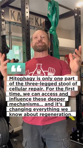 Mitophagy 🧬 is only one part of the three-legged stool of cellular repair. For the first time, we can access and influence these deeper mechanisms… and it’s changing everything we know about regeneration. Comment “peptide” to gain FREE 🆓 access to my courses, articles, and protocols alongside an amazing community. Powered by @liftlab_app @buildfastformula grounded by @bearfootshoes @bearfootboots Your Resilience Coach Award Winning 🏆 Innovator & Educator (Biomechanics-Peptides-Supplements) | 