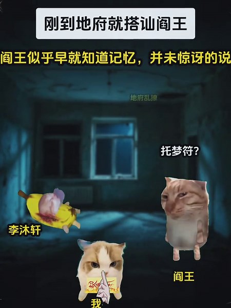 猫meme 小剧场 《地府乱撩》第 24 集#猫meme #catmeme #memes #搞笑 #抽象