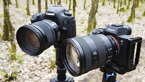 A Sharpness Test Between the Canon 5Ds and Sony a7R III