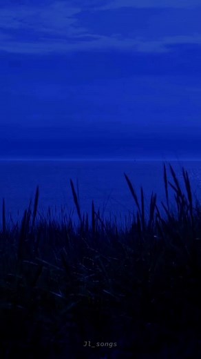 Lost in This Shirt - The Irrepressibles Song