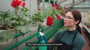 Rotating Crops Garden Strategy