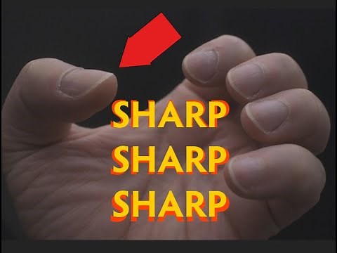 Fingernails Under the Microscope