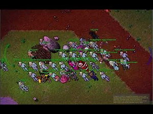 🔴 Tibia PVP & PVE Live Stream