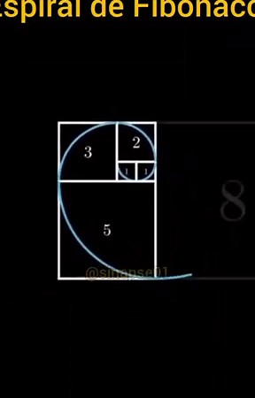 FIBONACCI SPIRAL @sinapse01 | Golden Geometry by Rafael Araujo