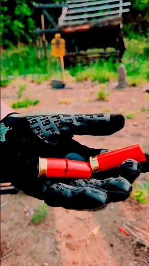 Are Cut Shells Dangerous? 🤔