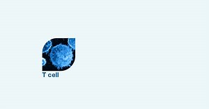 52K views · 20 reactions | Cell therapy resources to enable your successful transition to the clinic | Thermo Fisher Scientific | Facebook