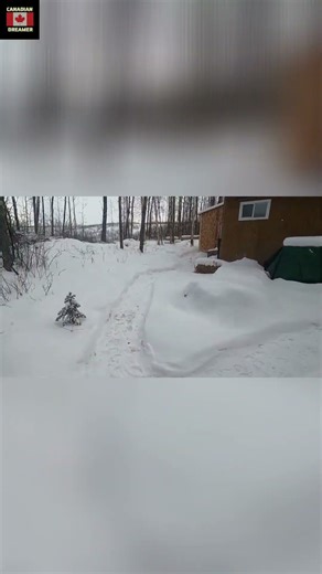 Composting toilet secrets: Cat waste, wood shavings & fresh air! #shorts