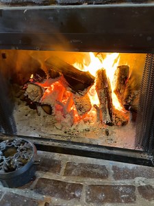 The Wild Carrot Farmstead on Reels