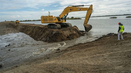 Imperiled Delta Smelt gain 3,400 acres of habitat in largest ever tidal restoration project