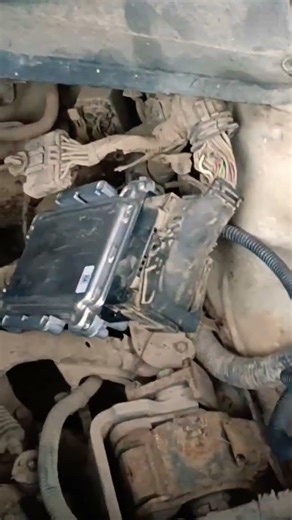 honda amaze new ecm programming 👍🔥 9977725131