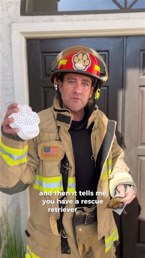 Direct firefighters to your pet’s location with Rescue Retriever. #dog #cat #homesafety
