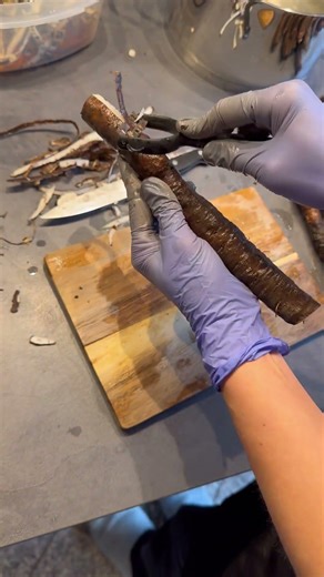 Ich Bau dir ein Haus aus Schweinskopfsülze