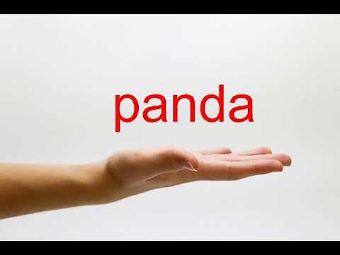 How to Pronounce panda - American English