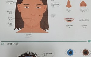 01 Parts of the Body