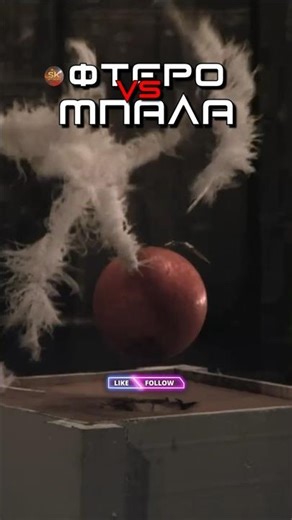 Αγώνας πτώσης: Σφαίρα ή Φτερό; #science #physics #mindblown