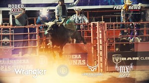Alista tus botas y sombrero porque celebraremos contigo nuestro XXIX Aniversario, con un rodeo de talla internacional. Con el ambiente, profesionalismo y calidad que tu ya conoces. | Promotora de rodeos - Prorodeo
