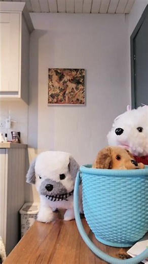 wind up dog in basket