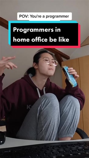 Programmers in Home Office: A Day in the Life